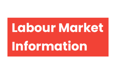 Hillingdon Labour Market Information Poster – November 2025